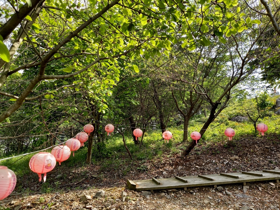 img.jpg