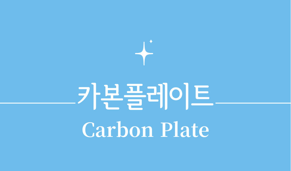 '카본플레이트(Carbon Plate)'