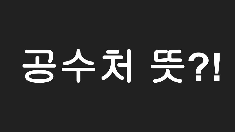  공수처 ? 공수처 뜻? 공수처법 ? 공수처법 개정?!! 이게 다 무슨말인가?