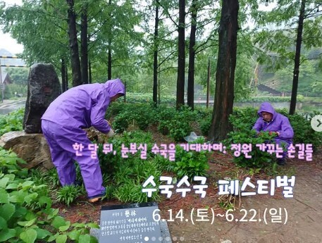 2025 진주 월아산 수국 축제