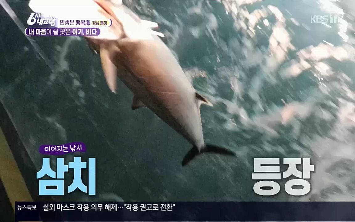 6시 내고향.E7630.221004p.H264-F1RST.mp4_20221004_213310.272.jpg