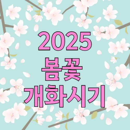 봄꽃 개화시기