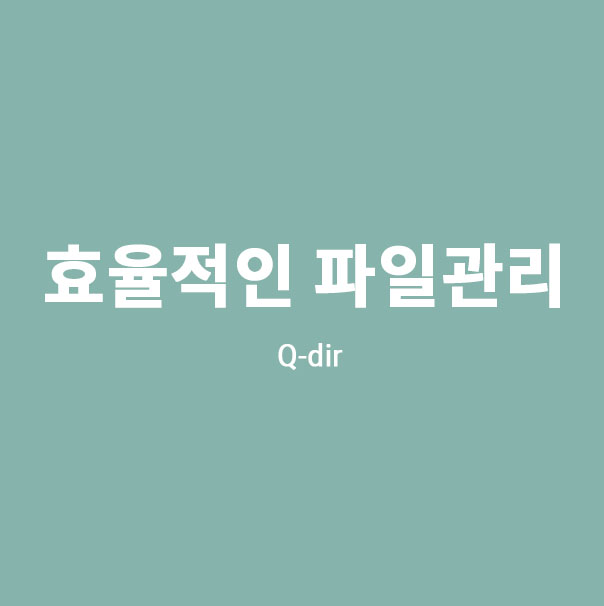  파일 관리 꿀팁 Q-dir 사용법