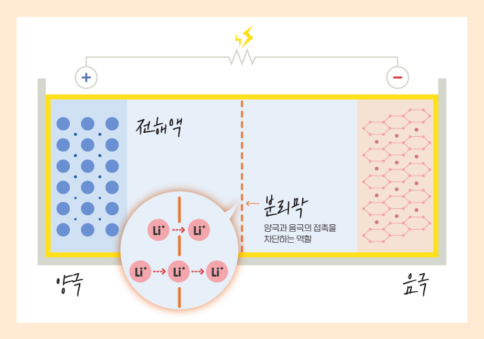  [2차 전지 소재] 분리막 개념과 종류, 관련 기업, 시장 분석