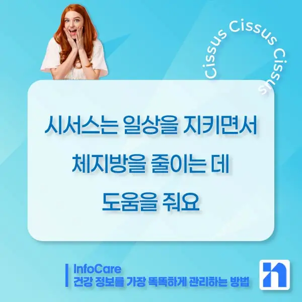 시서스 다이어트&amp;#44; 복용방법