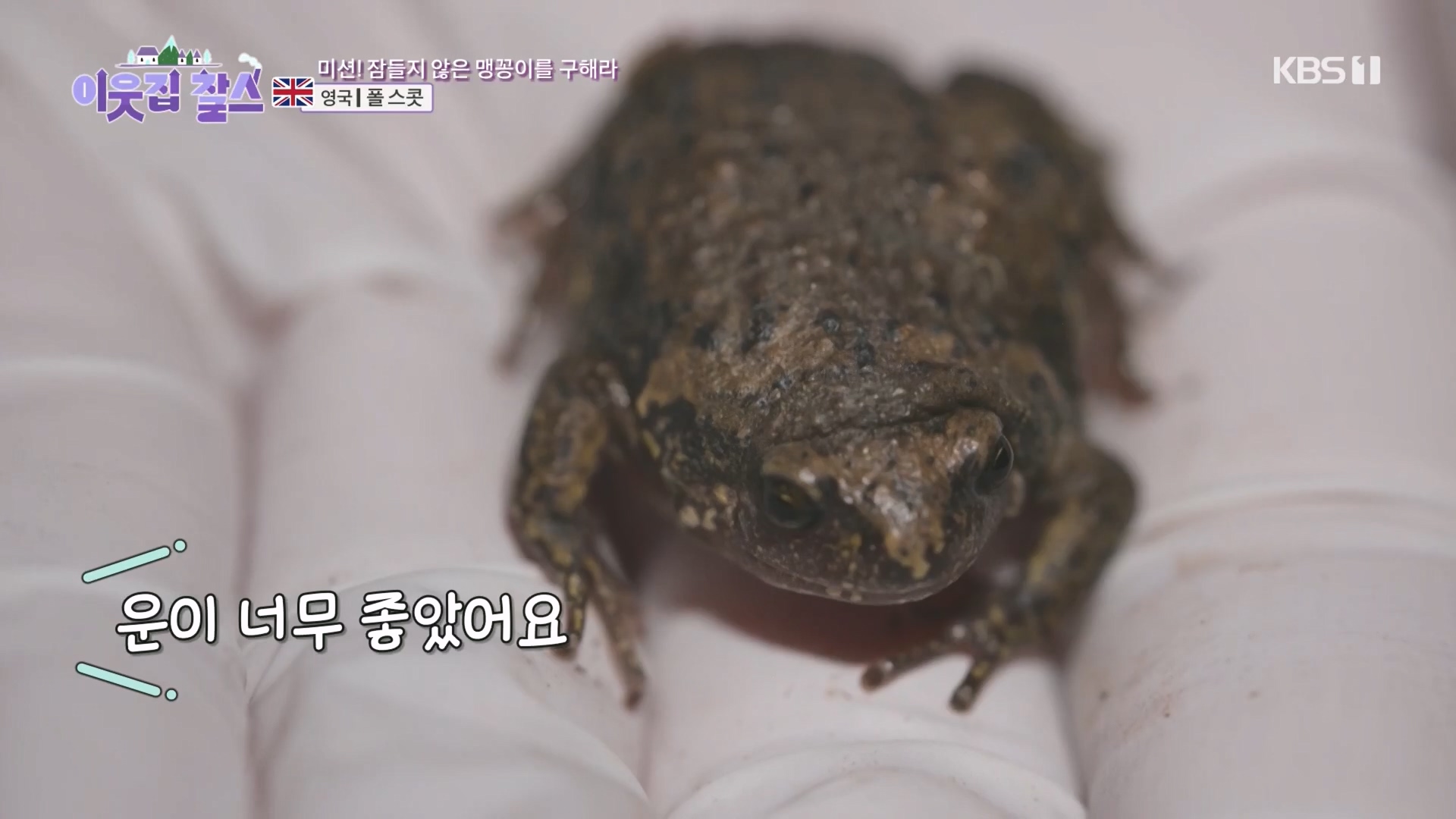 이웃집 찰스.E415.231212p.H264-F1RST.mp4_20231215_201717.225.jpg