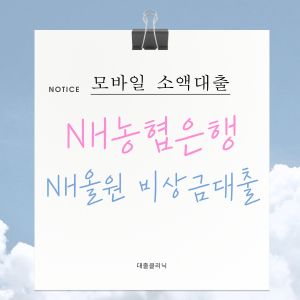 NH농협은행 NH올원 비상금대출