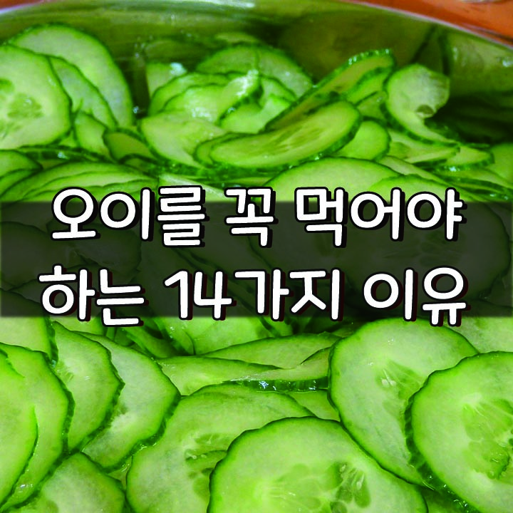  [오이를 꼭 먹어야 하는 14가지 이유]