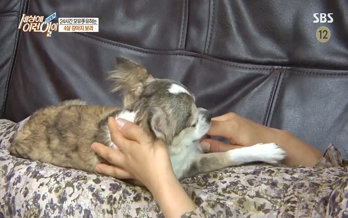 순간포착 세상에 이런일이.E1183.220608p-NEXT.mp4_20220608_201634.525.jpg