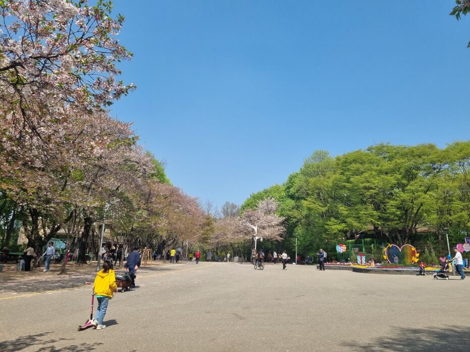 인천대공원 동물원