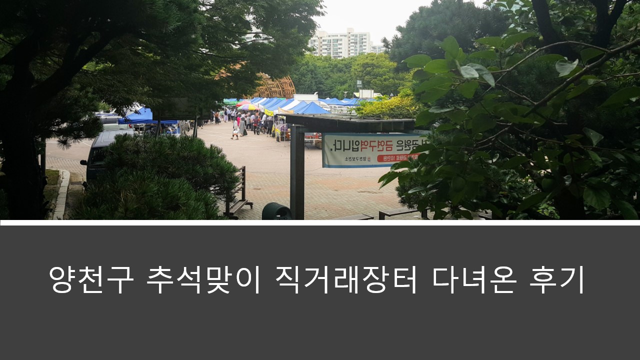  양천구 추석맞이 직거래 장터 다녀온 후기, 리뷰