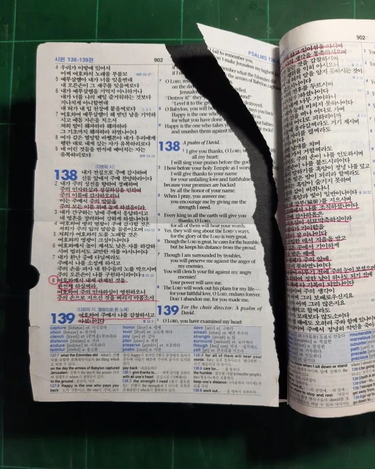 성경 보라색 가죽 장정 6