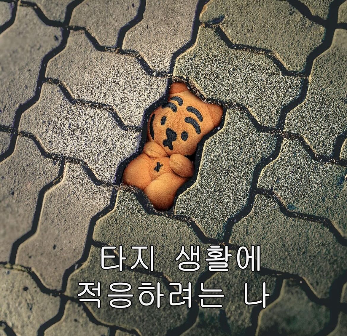 사오기 이미지