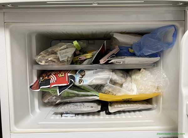 원룸 중소형 LG 냉장고&#44; 냉동실.