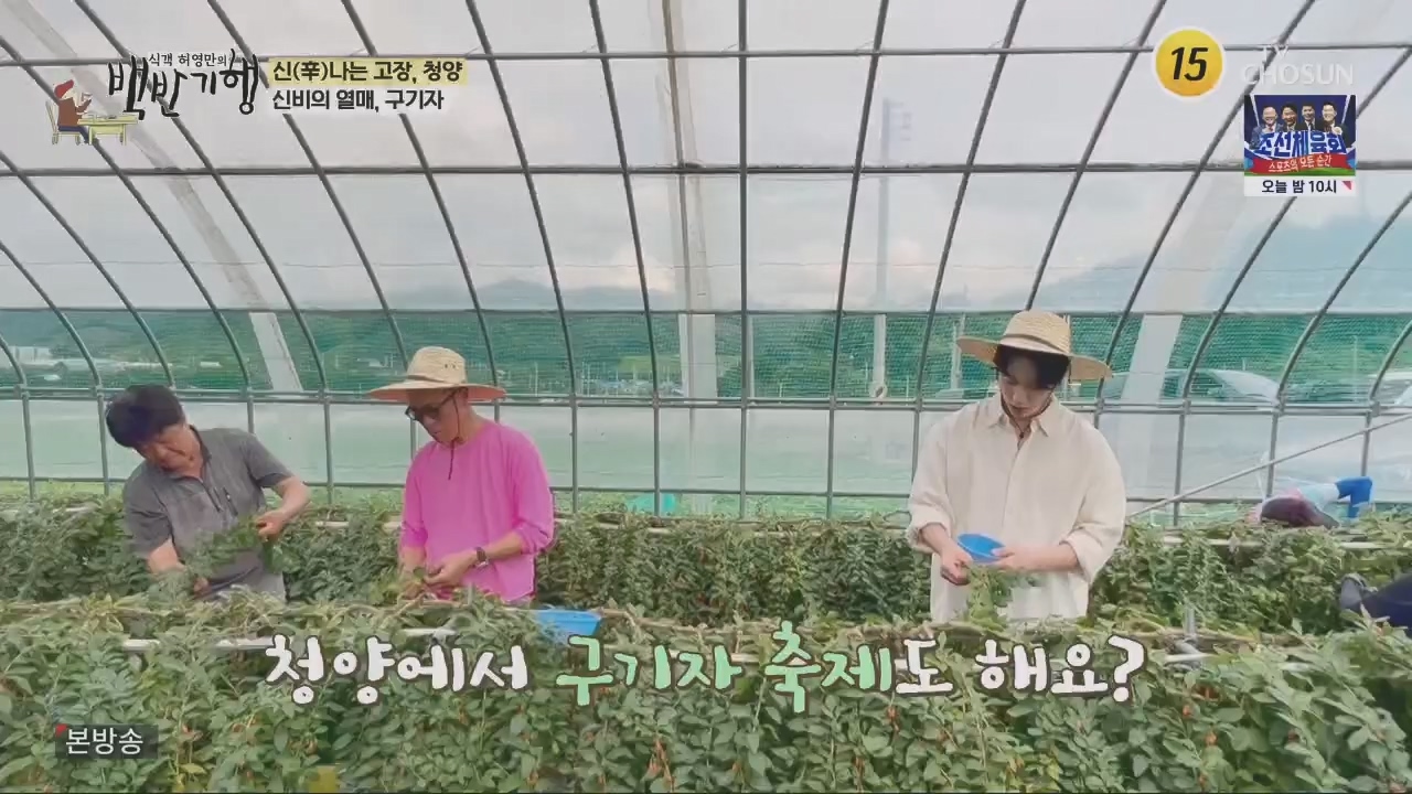 식객 허영만의 백반기행.E213.230826p.H264-F1RST.mp4_20230826_180905.072.jpg
