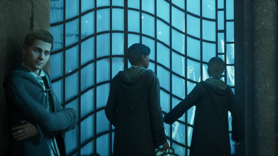 (Hogwarts Legacy) 사소한 게임 스크린샷 모음 28