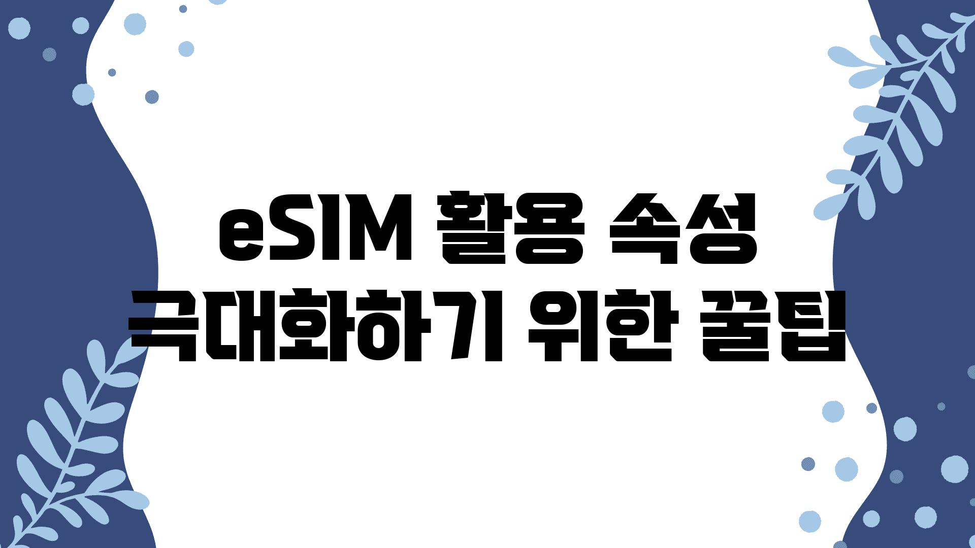 eSIM 활용 속성 극대화하기 위한 꿀팁