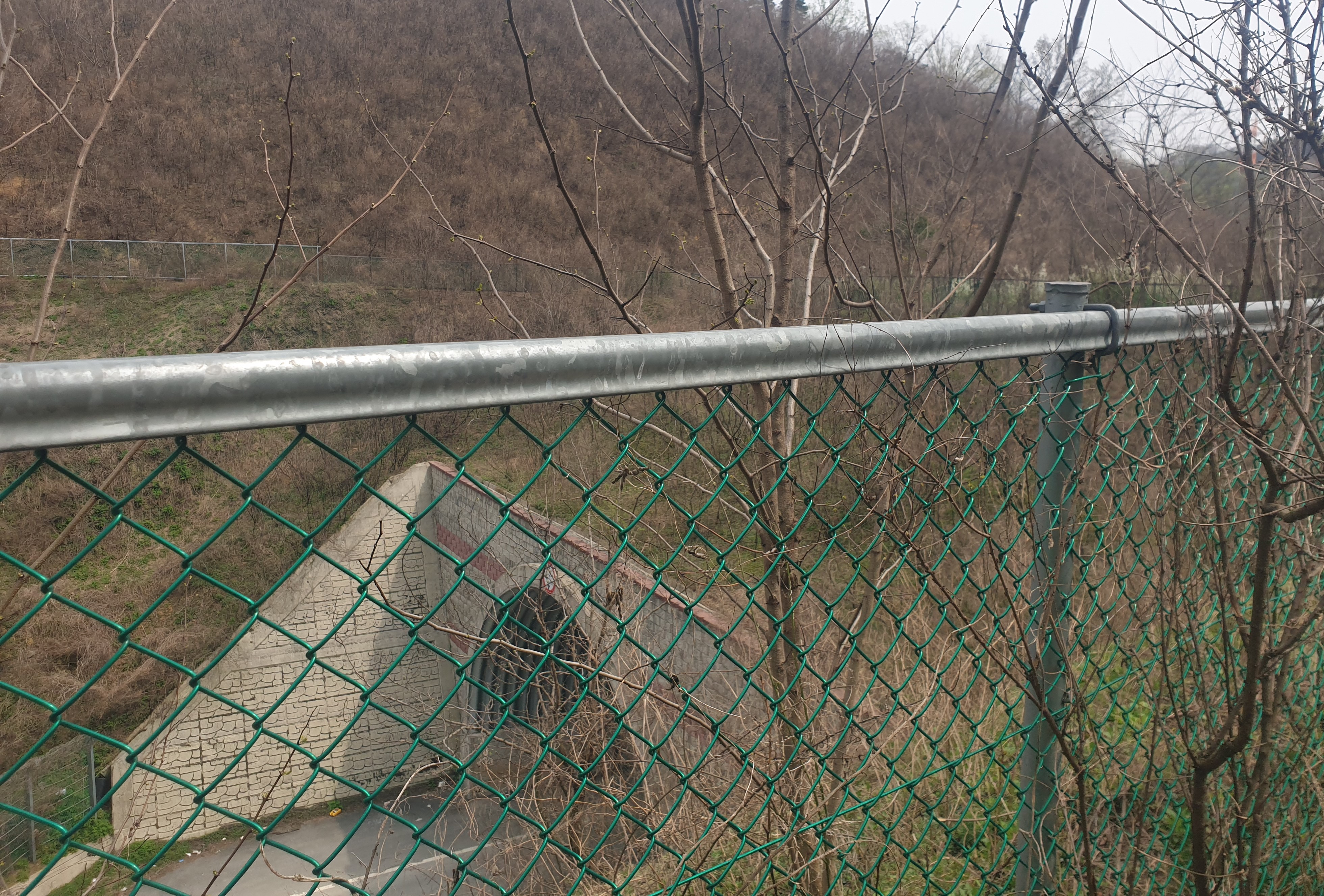 자명초등학교 이미지