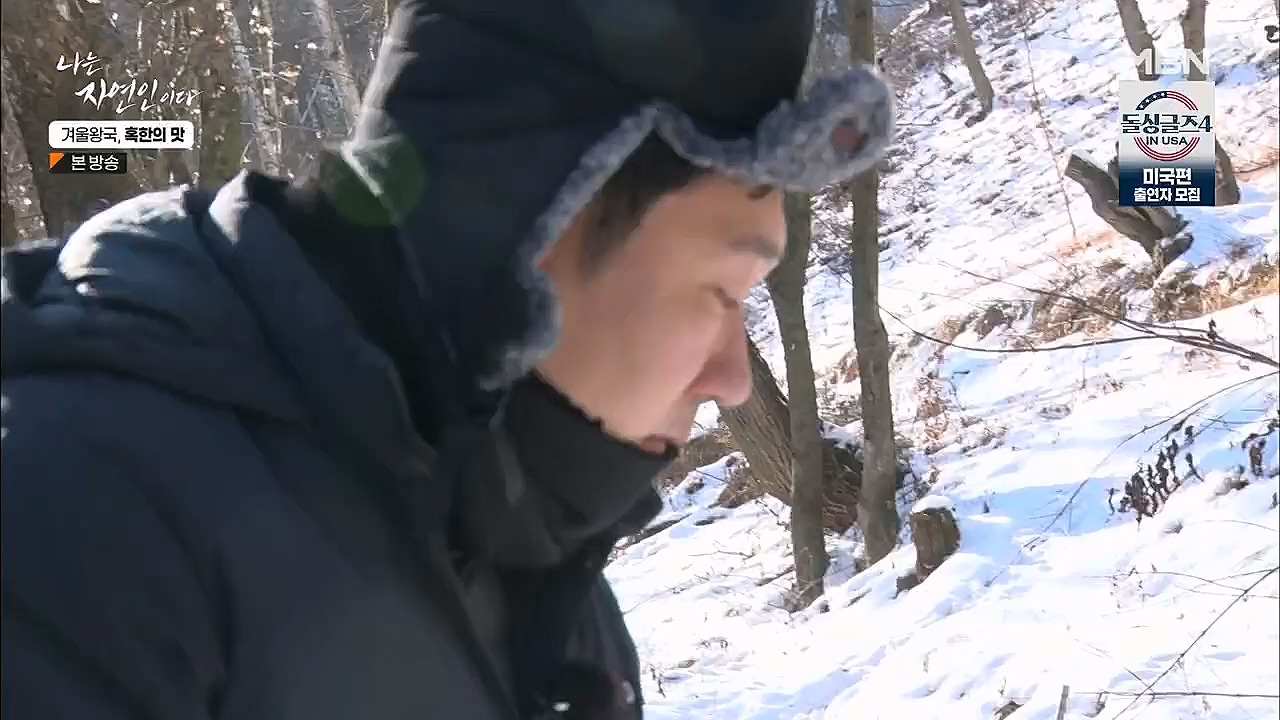 나는 자연인이다.E536.230112p.H264-F1RST.mp4_20230112_193518.852.jpg