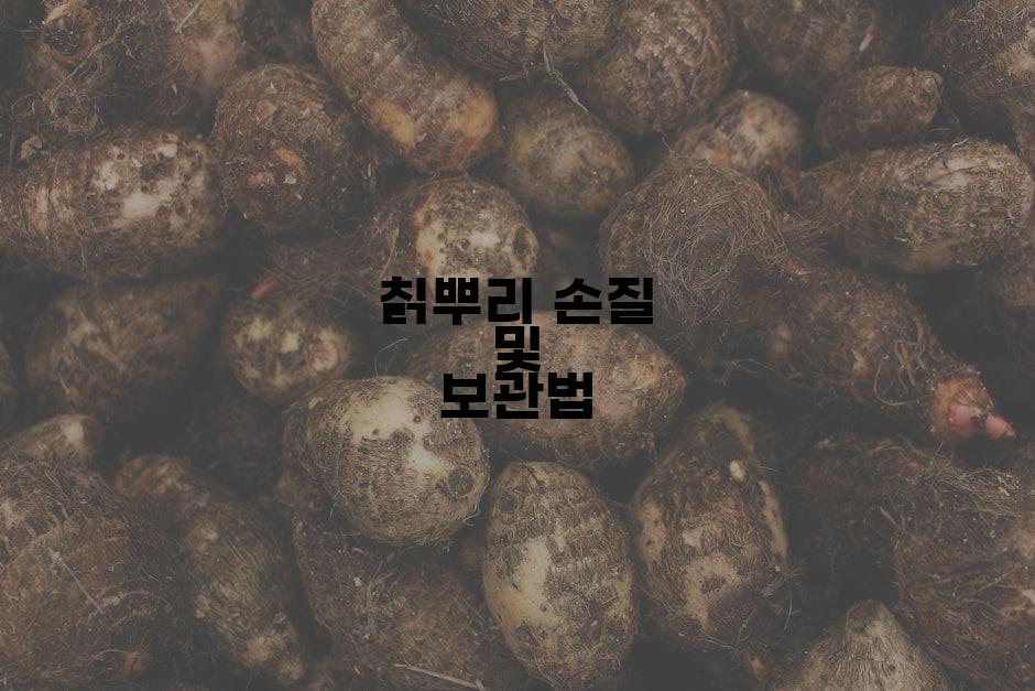 칡뿌리 손질 및 보관법