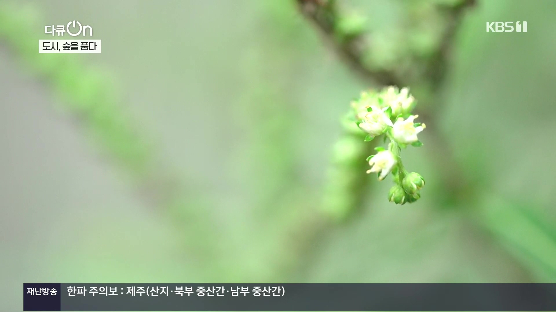 다큐 On.E232.231216p.H264-F1RST.mp4_20231220_204913.292.jpg