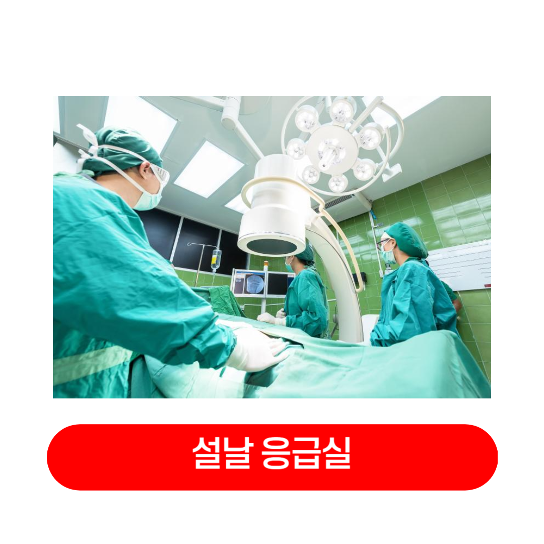 설날_응급실