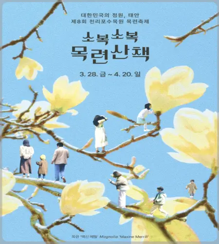 천리포수목원 목련축제_8