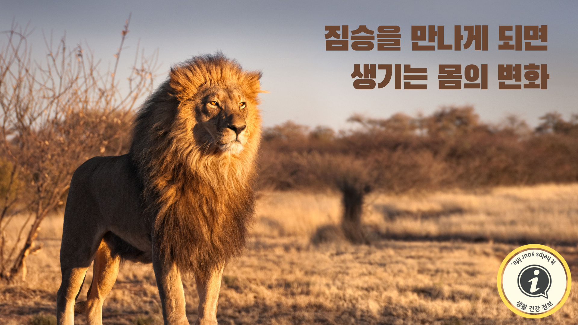 짐승을 만나게 되면 생기는 몸의 변화