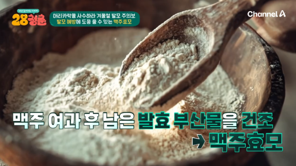 청춘맥주 이미지