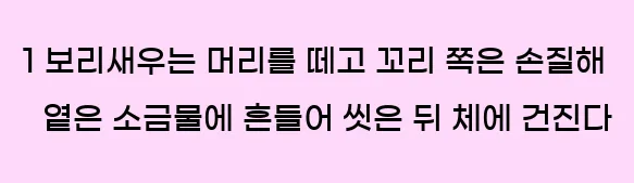  1 보리새우는 머리를 떼고 꼬리 쪽은 손질해 옅은 소금물에 흔들어 씻은 뒤 체에 건진다