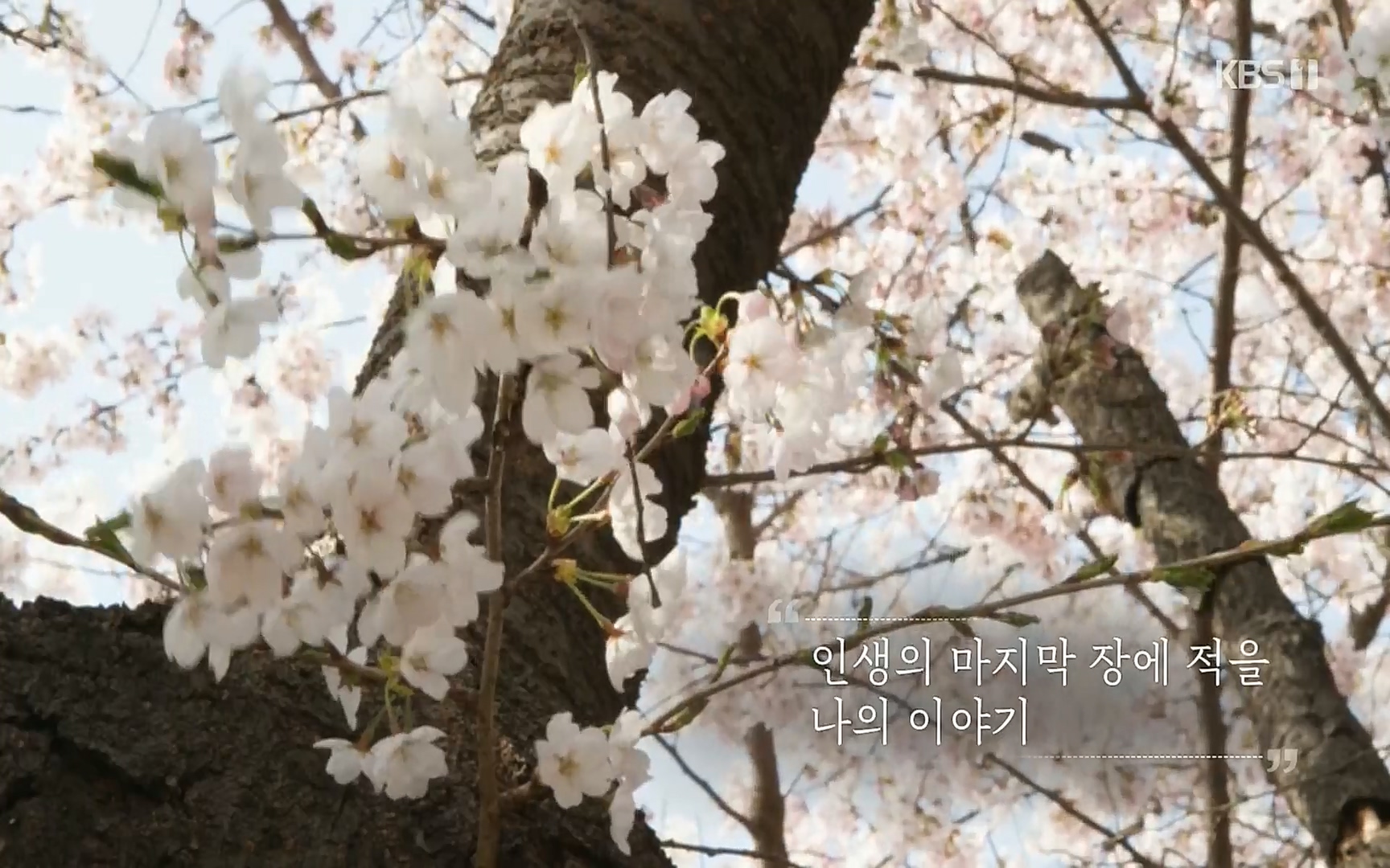 생로병사의 비밀.E820.220511p.H264-F1RST.mp4_20220512_185922.392.jpg