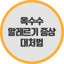  옥수수를 먹었는데 알레르기가? 증상과 대처법