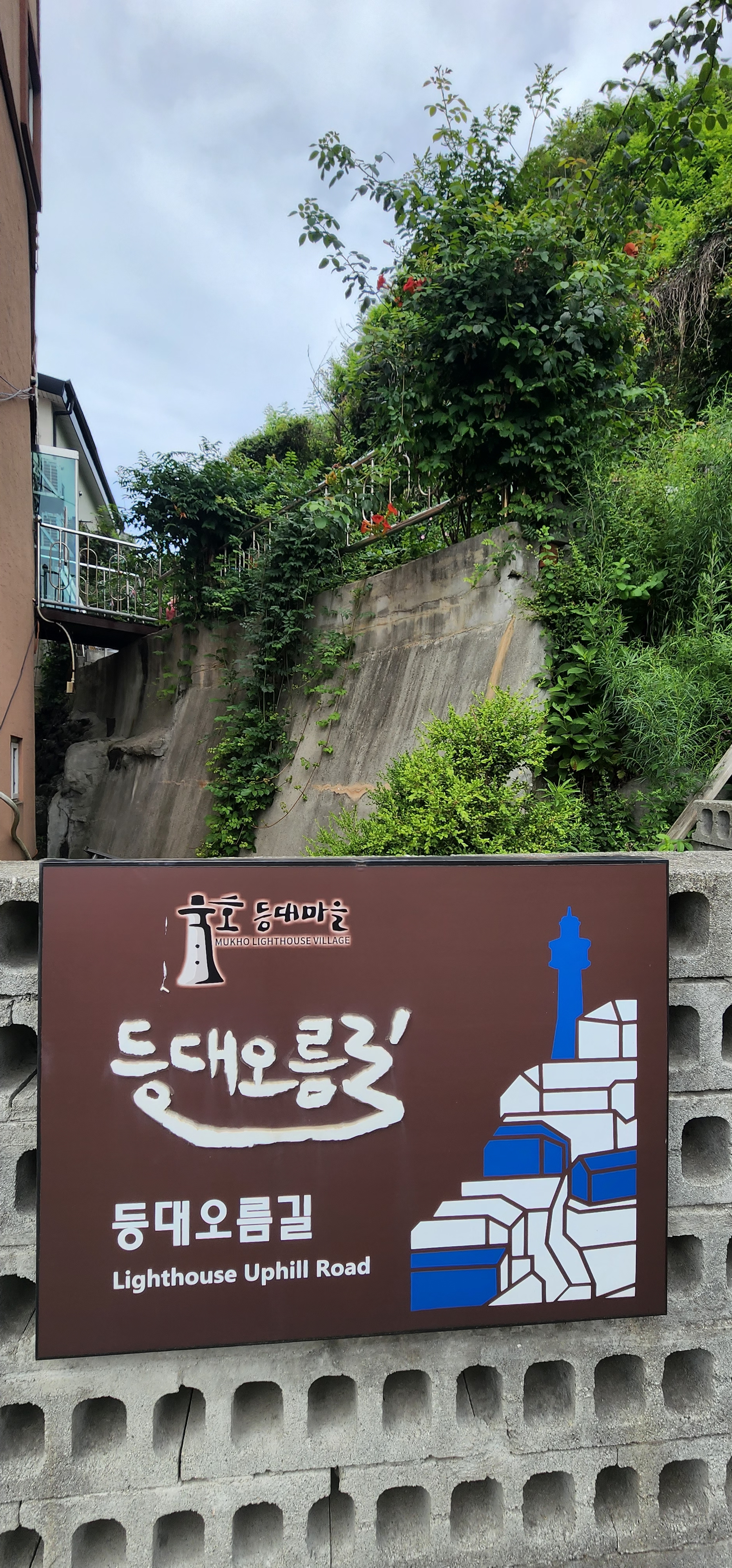  묵호여행 논골담길 도깨비골 바람의언덕 스카이벨리 해랑전망대