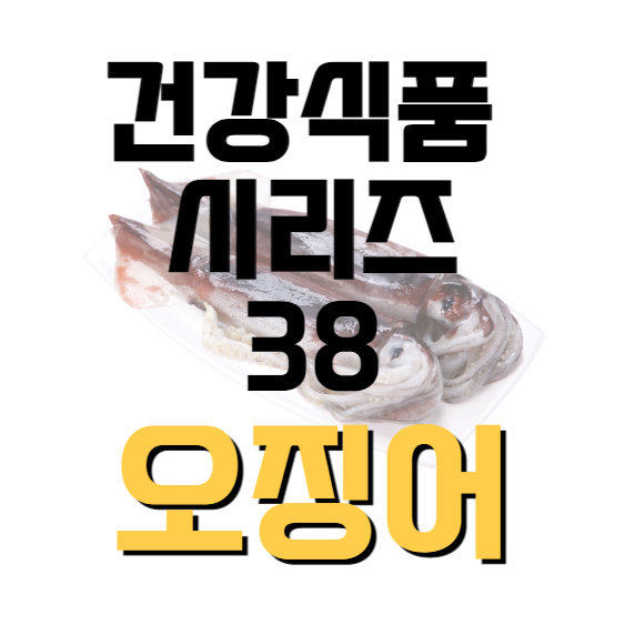 건강식품-시리즈-38-오징어