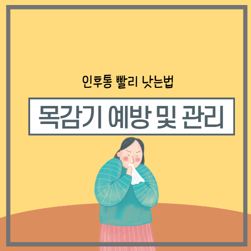  목 감기 빨리 낫는 법 과  목 관리하기(인후통 감기)