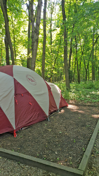 Big Island Campground - Myre-Big Island State Park