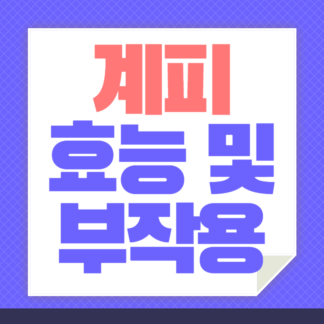 계피효능