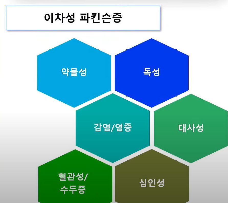 2차성 파킨슨증