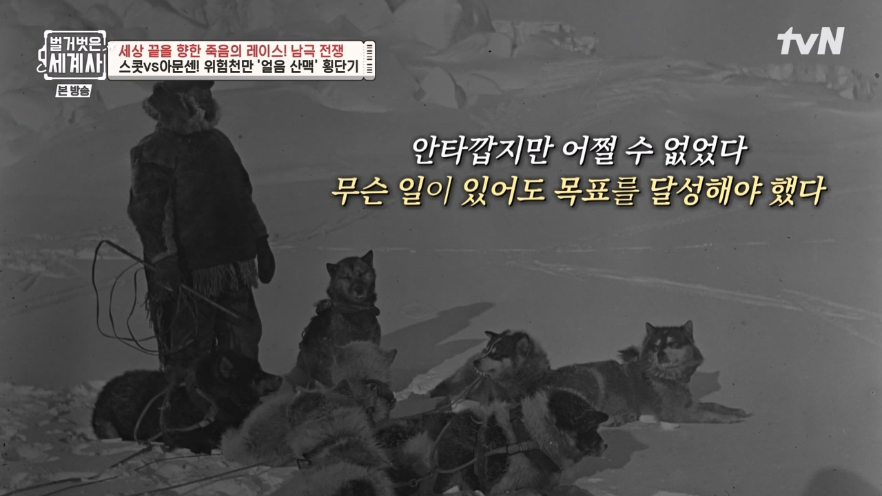 벌거벗은 세계사.E105.230628p-NEXT.mp4_20240127_160139.990.jpg