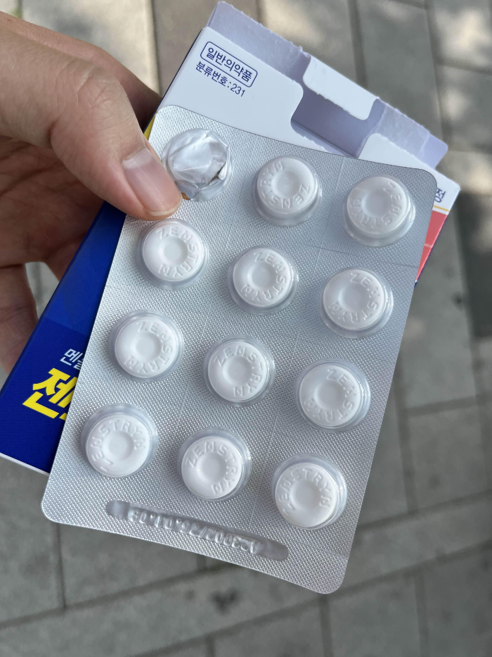 총 12정