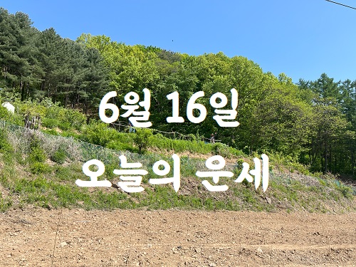 운세