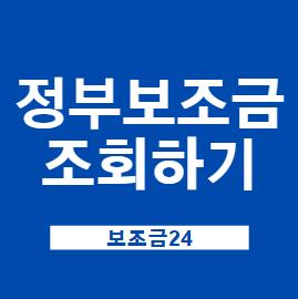  정부 보조금 24
