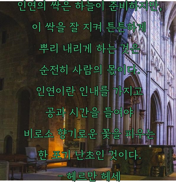 헤르만헤세