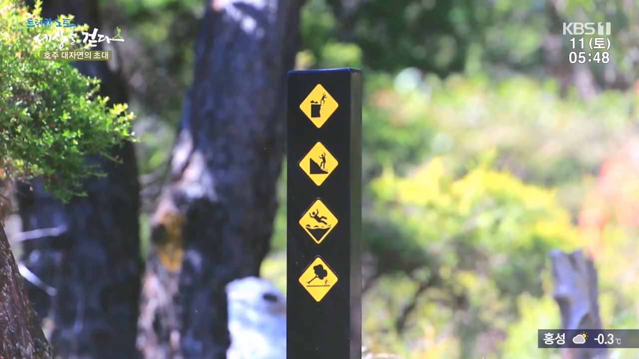 트레킹노트 세상을 걷다.E296.231112p-NEXT.mp4_20231111_182057.720.jpg