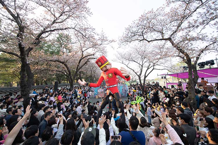 경주-대릉원돌담길-벚꽃축제-행사장면과-풍경