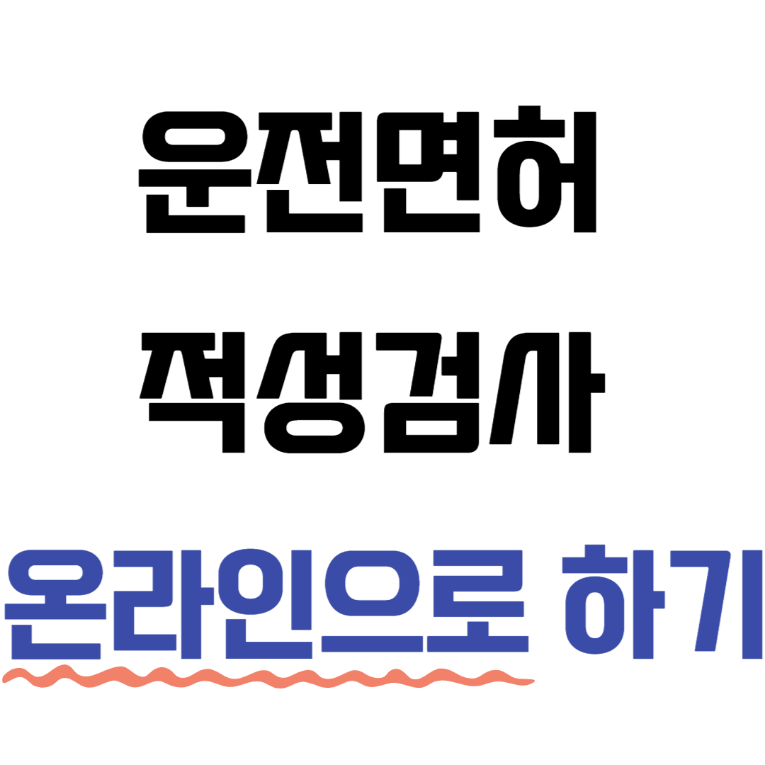 운전면허 적성검사 온라인으로 하기