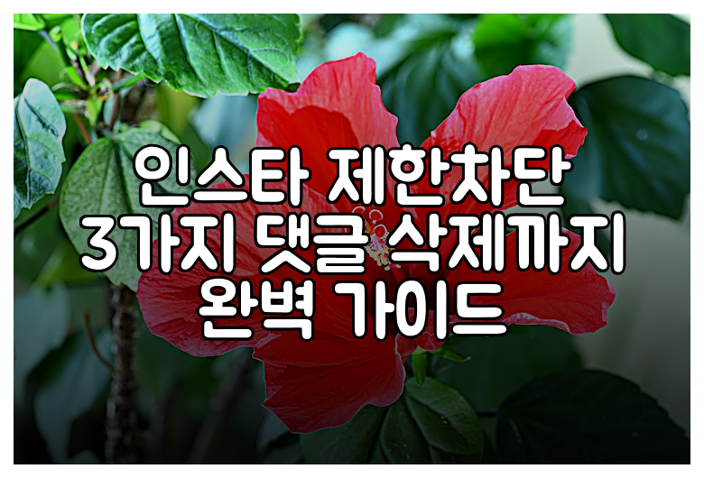 인스타 제한차단 3가지 댓글 삭제까지 완벽 가이드