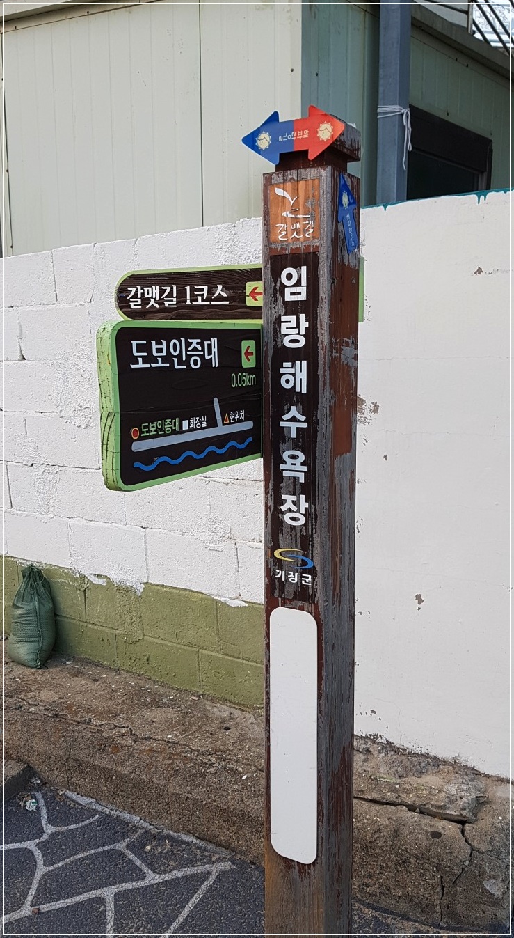  한적한 겨울바다 보러 갈 만한 부산기장 임랑해수욕장
