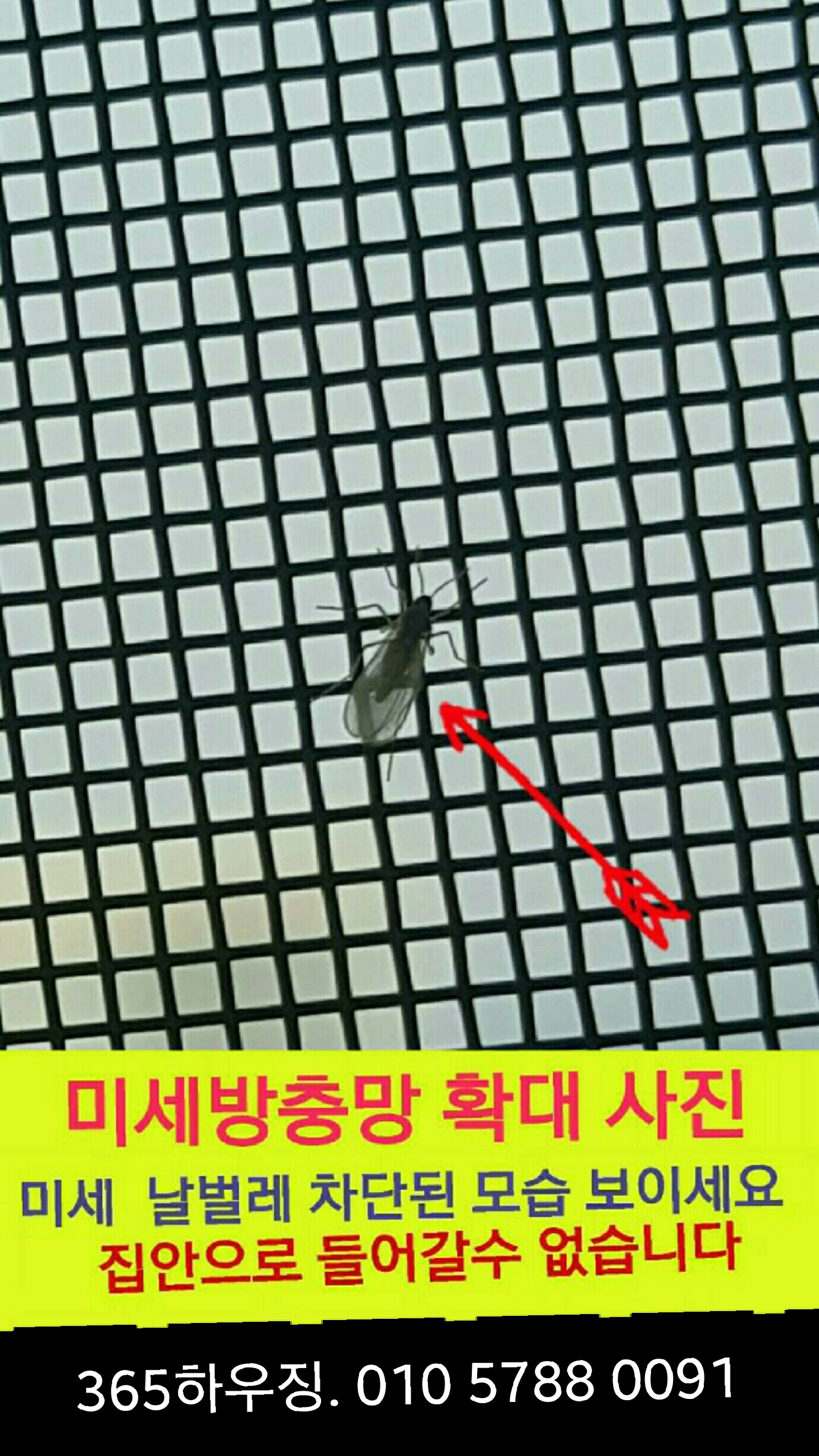 대구 방충제 15