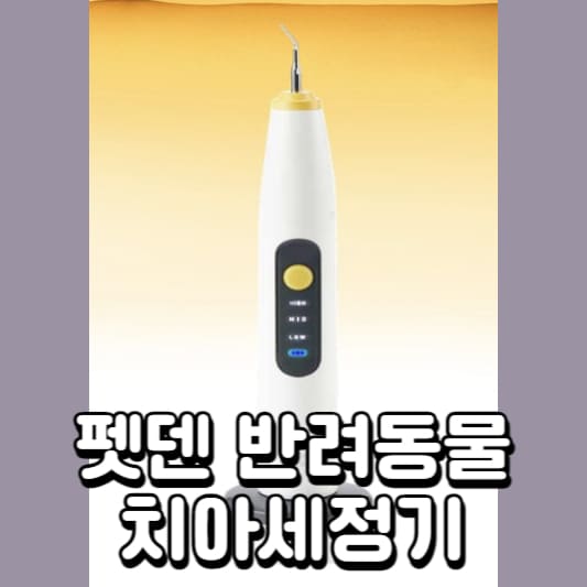 펫덴-치아세정기
치석제거기
반려동물-치석제거기
강아지-치석제거